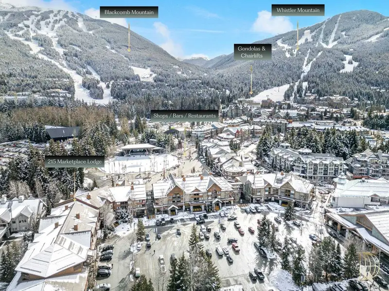 215 4360 LORIMER ROAD - photo 3 of 25