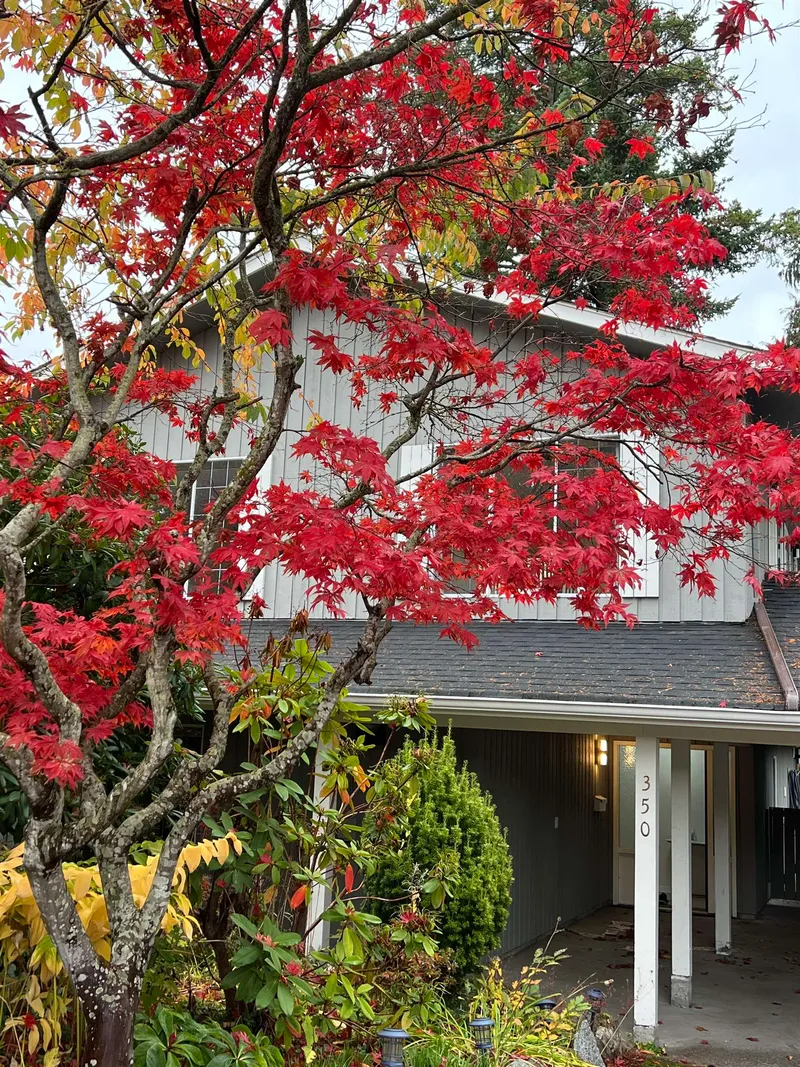 350 52A STREET - photo 1 of 20