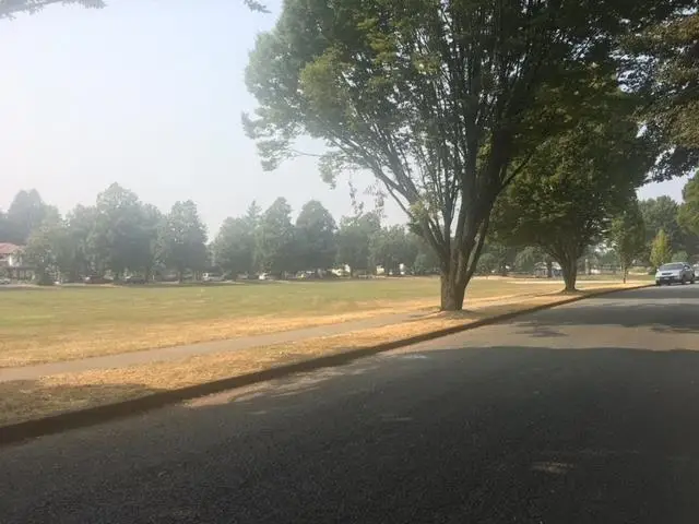 5336 RHODES STREET - photo 4 of 12