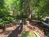 477 GAVIN ROAD - thumbnail 35