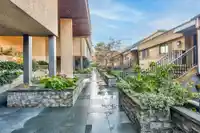 2266 ALDER STREET - thumbnail 33