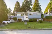 428 MIDVALE STREET - thumbnail 1