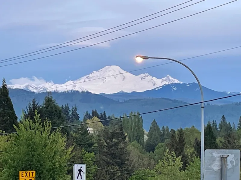 34355 OLD YALE ROAD - photo 3 of 6