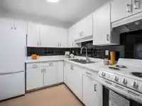313 975 E BROADWAY - thumbnail 12