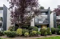7363 CAPISTRANO DRIVE - thumbnail 36