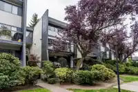 7363 CAPISTRANO DRIVE - thumbnail 37