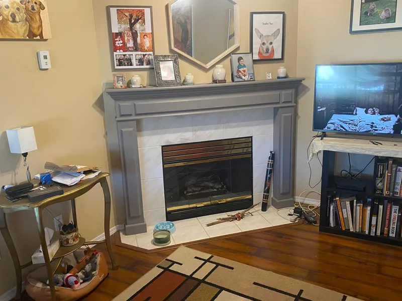 8479 CADE BARR STREET - photo 4 of 12