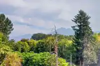 105 2380 RANGER LANE - thumbnail 35