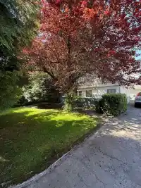 8251 LESLIE ROAD - thumbnail 1