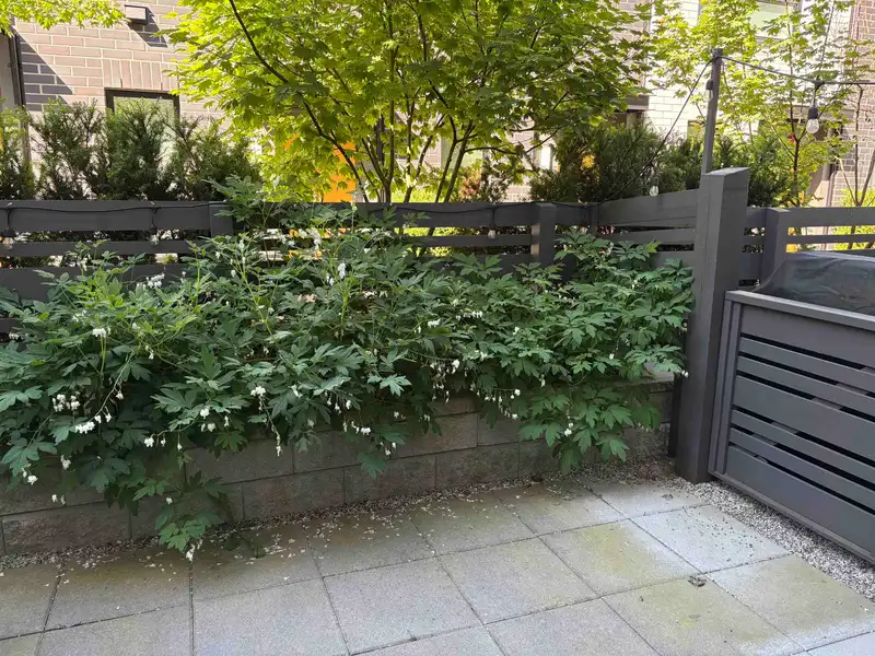 4 9739 UNIVERSITY CRESCENT - photo 3 of 12