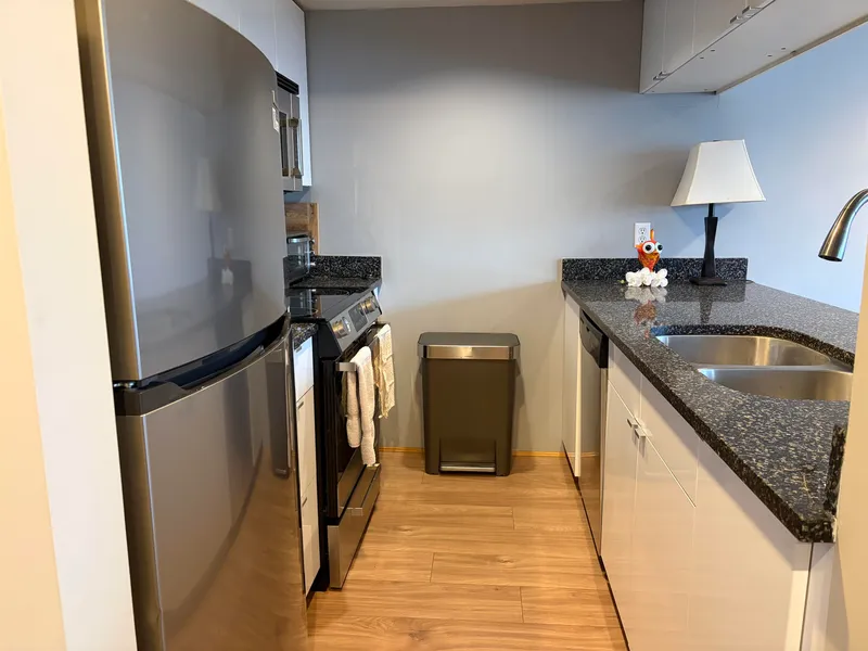 510 1060 ALBERNI STREET - photo 3 of 14