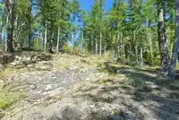 4547 FLAGSHIP ROAD - thumbnail 24