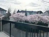122 3880 WESTMINSTER HIGHWAY - thumbnail 32