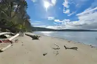 348 GEORGINA POINT ROAD - thumbnail 10