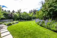 202 14605 MCDOUGALL DRIVE - thumbnail 36