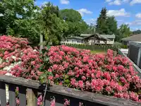 32173 SCOTT AVENUE - thumbnail 13