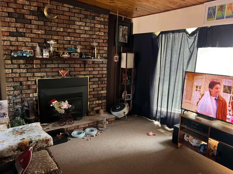 32173 SCOTT AVENUE - photo 4 of 13