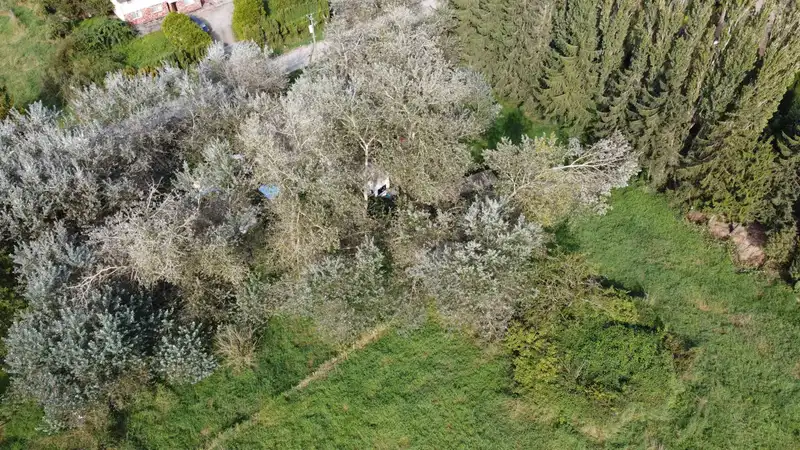 16510 50 AVENUE - photo 3 of 13