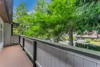 11738 LYON ROAD - thumbnail 22