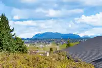 11236 135 STREET - thumbnail 4
