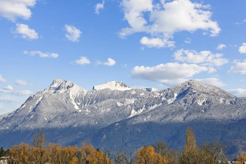 8875 PREST ROAD - photo 2 of 25