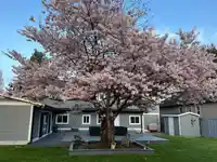 971 51A STREET - thumbnail 36