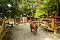 1930 RANCH ROAD - thumbnail 32