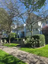 109 5250 VICTORY STREET - thumbnail 1