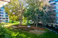 311 7228 ADERA STREET - thumbnail 20