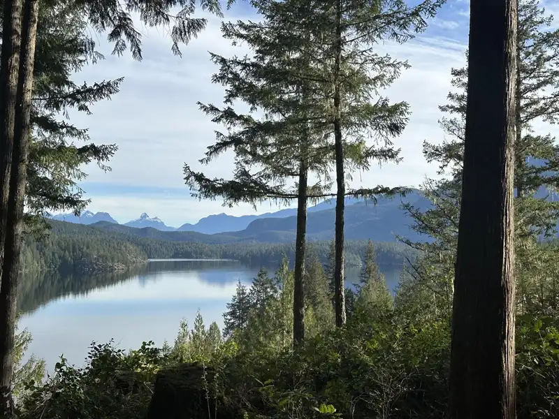 201 7101 SAKINAW WOODS DRIVE - photo 1 of 40