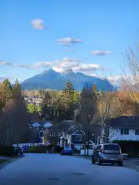 10680 239 STREET - thumbnail 33
