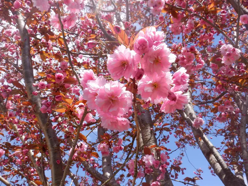 39070 KINGFISHER ROAD - photo 1 of 25