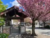 18 6852 193 STREET - thumbnail 24