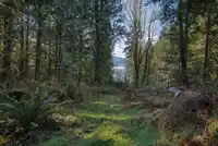 7103 SECHELT INLET ROAD - thumbnail 37