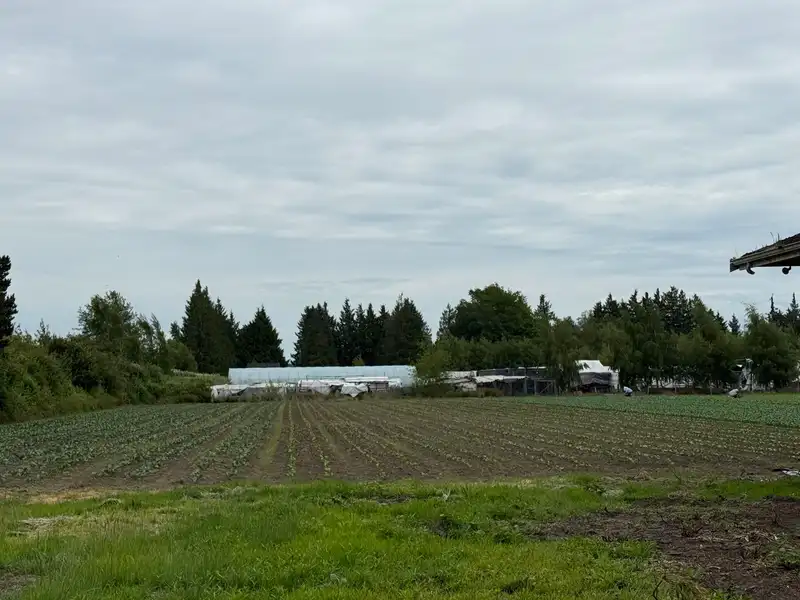10120 SIDAWAY ROAD - photo 4 of 7