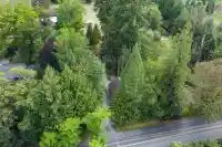 21180 48 AVENUE - thumbnail 4