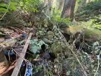 14202 MARC ROAD - thumbnail 12