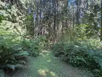 14202 MARC ROAD - thumbnail 16