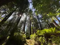 14202 MARC ROAD - thumbnail 9