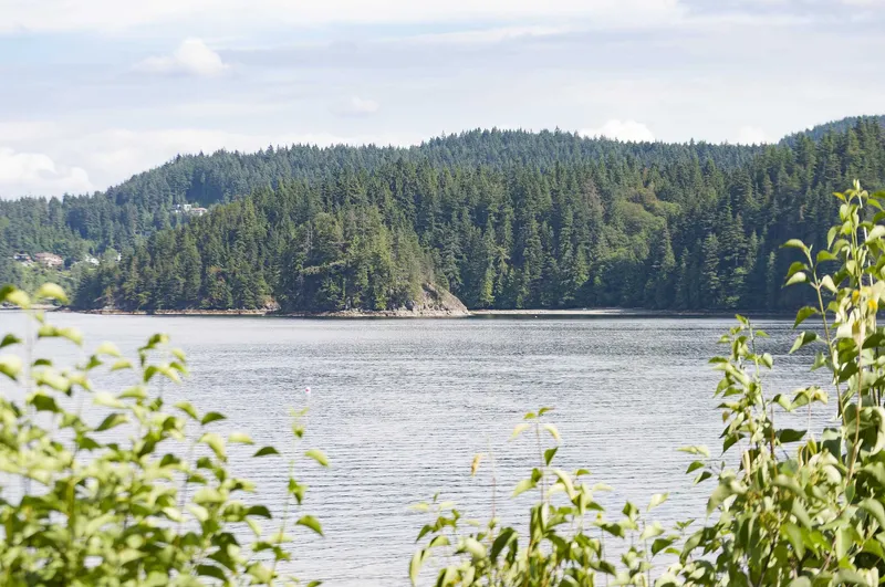 5293 INDIAN RIVER DRIVE - photo 3 of 25