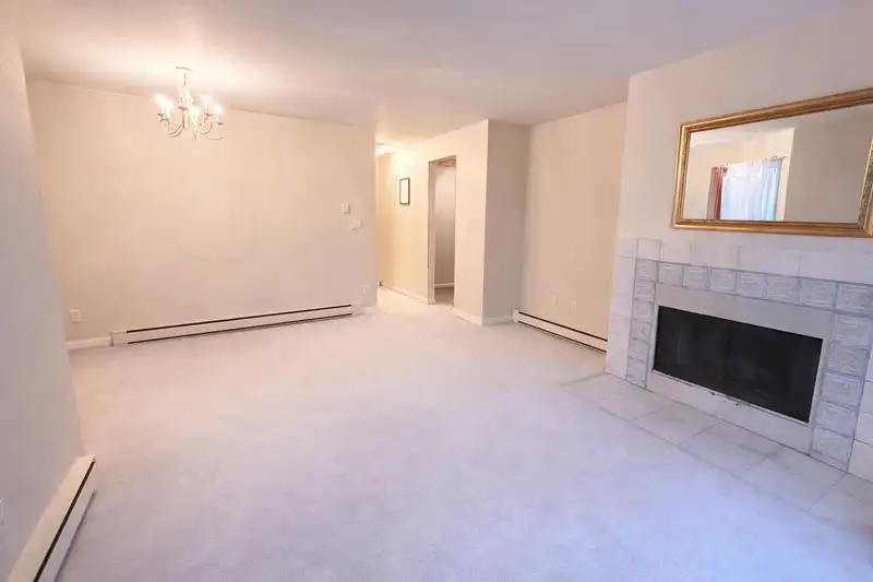 316 555 W 14TH AVENUE - photo 3 of 7