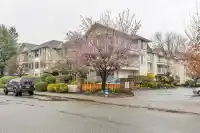 312 33401 MAYFAIR AVENUE - thumbnail 2