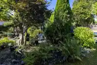 8729 164 STREET - thumbnail 3