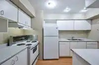10509 HOLLY PARK LANE - thumbnail 8