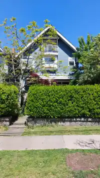 1951 NAPIER STREET - thumbnail 25