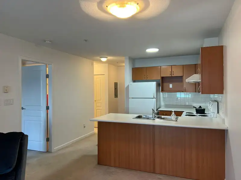 208 6991 VICTORIA DRIVE - photo 1 of 15
