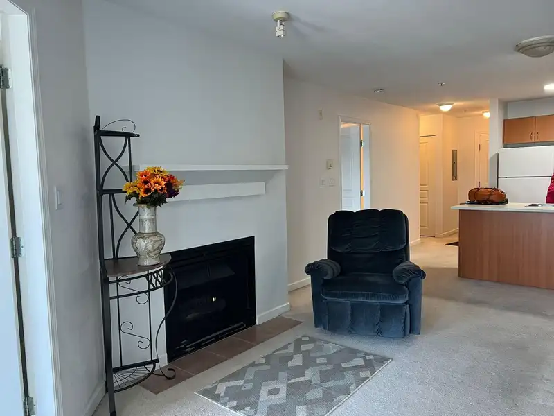 208 6991 VICTORIA DRIVE - photo 3 of 15