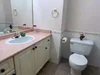 3147 SILVERTHRONE DRIVE - thumbnail 19