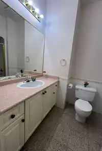 3147 SILVERTHRONE DRIVE - thumbnail 20