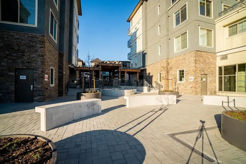 B314 20487 65 AVENUE - photo 3 of 19